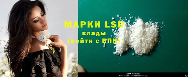 spice Медногорск